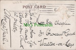 Genealogy Postcard - Chaplin, 31 Crescent Road, Walton on Naze, Essex  443A