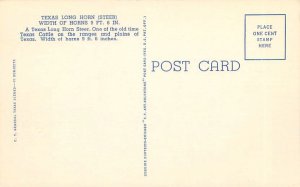 Texas Long Horn Steer (Bull)  Linen Postcard Unused