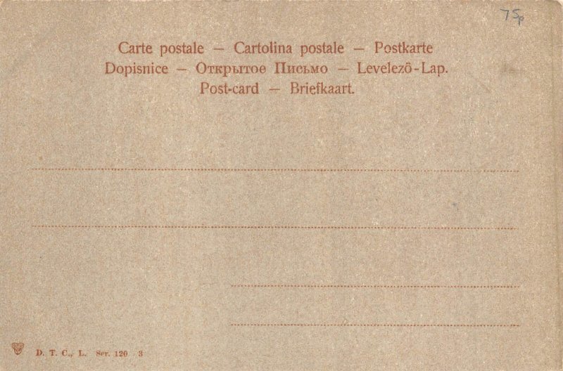 Anthropomorphic Humanized Chicks Singing Music Chicken Poultry postcard C317