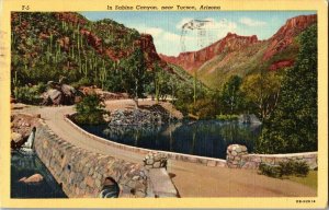 Scenic View, Road Through Sabino Canyon Near Tucson AZ c1948 Postcard H78