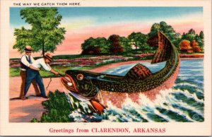 Postcard Exaggeration Freak Fish #247AR Clarendon The way we catch them here