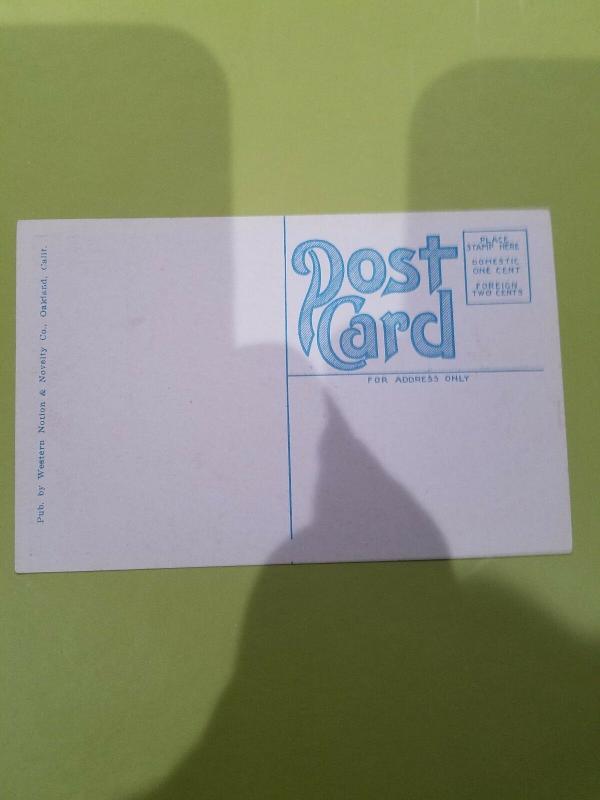Antique Postcard, Park Street, Alameda, California 30559