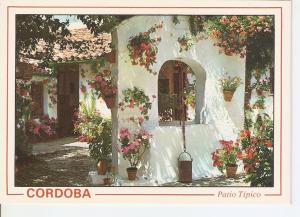 Postal 045515 : Cordoba. Patio tipico Andaluz