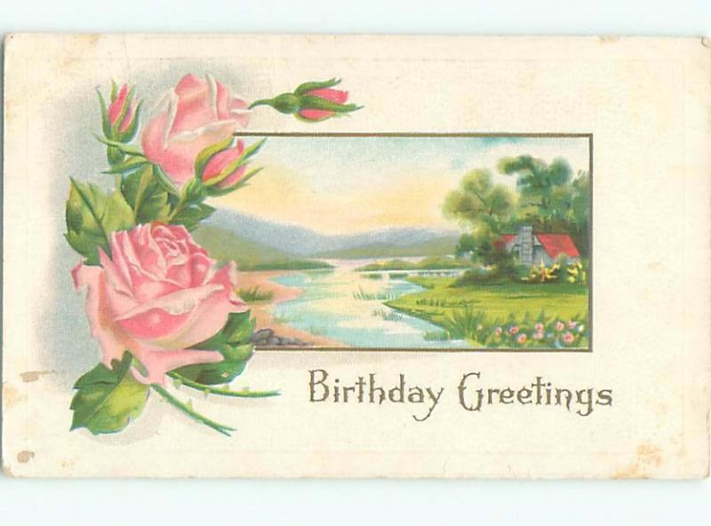 Divided-Back BEAUTIFUL FLOWERS SCENE Great Postcard AA2817