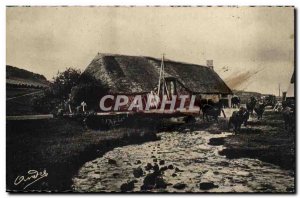Auvergne Postcard Old Farm Auvergne