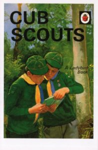 Cub Scouts Scouting Ladybird Boys First Edition Book Postcard