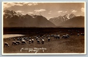 RPPC  1935  Montana   Postcard