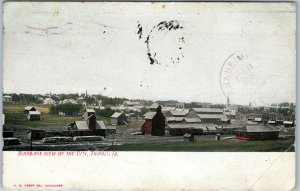 c1908 Tripoli, IA Birds Eye View Grain Elevators Downtown Buildings Kropp