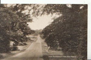 Hampshire Postcard - Bournemouth Road - New Forest - Ref 16178A