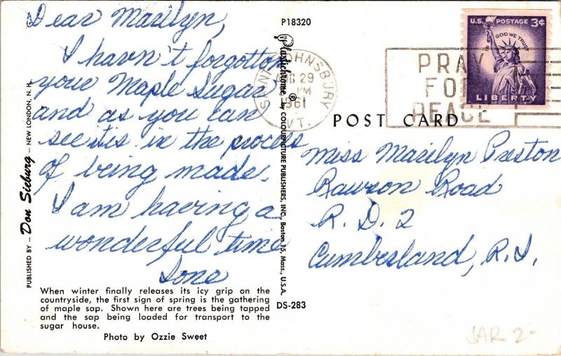 Snow Covered Wintery Scene Gathering Maple Sap Horses Workers Postcard Note WOB 