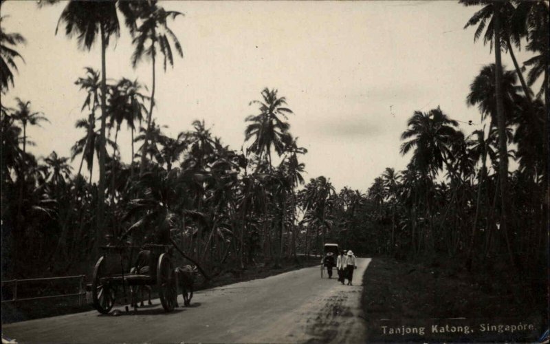 Singapore Tanjong Katong Indigenous People in Carts Real Photo Vintage Postcard