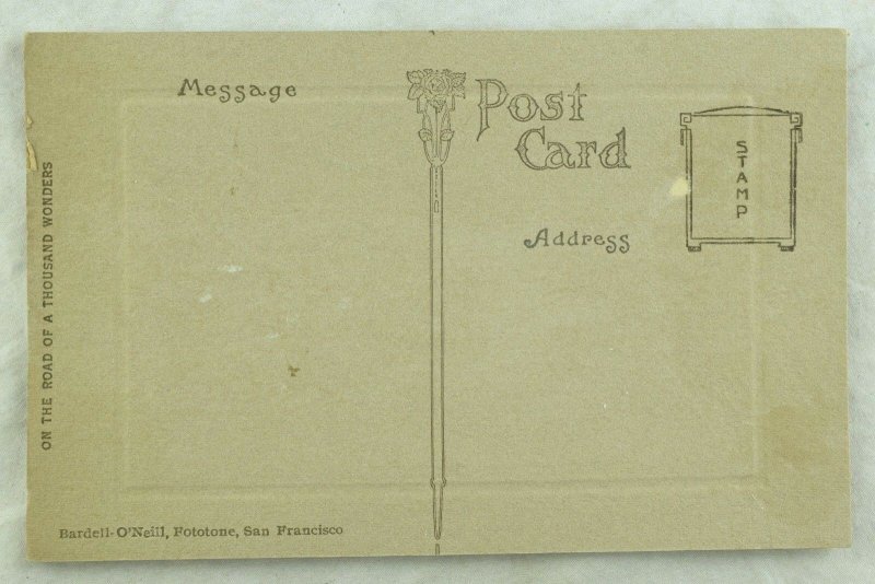 C.1910 State Capitol, Sacramento, Cal. Vintage Postcard P103