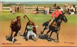 Mike Hastings Bulldoging, cowboy horses steer bull, Doubleday postcard
