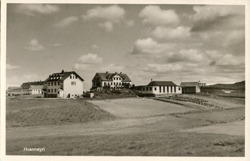 iceland, HVANNEYRI, Panorama (1950s) RPPC Postcard
