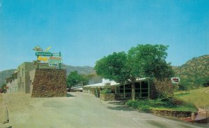 USA Mountmaire Motel And Restaurant Sequoia Vintage Postcard 07.42