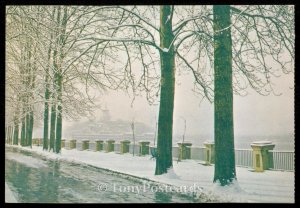 Spring Snow - Peking