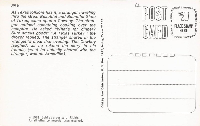 Nowhere But Texas Armadillo Humor 1981c postcard