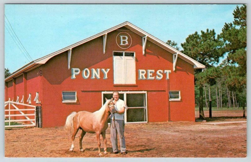 1969 BURTON'S SEAFOOD CHINCOTEAGUE VIRGINIA  HORSE GOLDEN PRIDE PONY REST BARN 