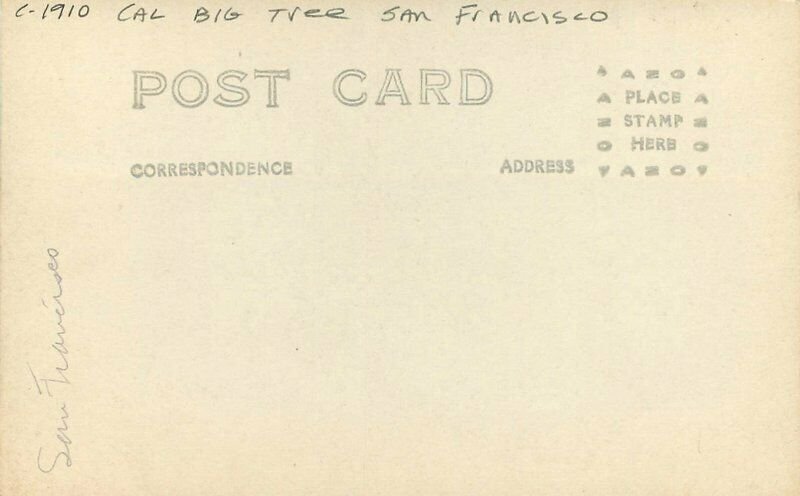 Big Trees California San Francisco C-1910 RPPC Photo Postcard 20-9837