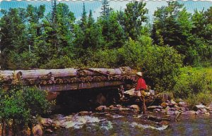 Brook Fishing In Canada