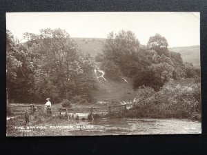 Sussex POYNINGS The Springs showing Lady on Wooden Footbridge c1914 RP Postcard