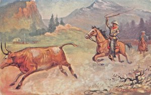 WESTERN COWBOY LASSOING STEER-ARTIST R A DAVENPORT 1900s POSTCARD