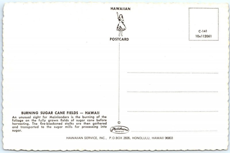 c1970s Hawaiian Islands, HI Burning Sugar Cane Fields Farming Harvest 4x6 PC M16