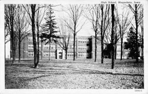 Maquoketa Iowa High School Forest View Antique Postcard K10151 