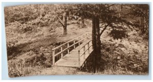 1913 Wooden Bridge Forest Scene Central City Iowa IA Posted Antique Postcard