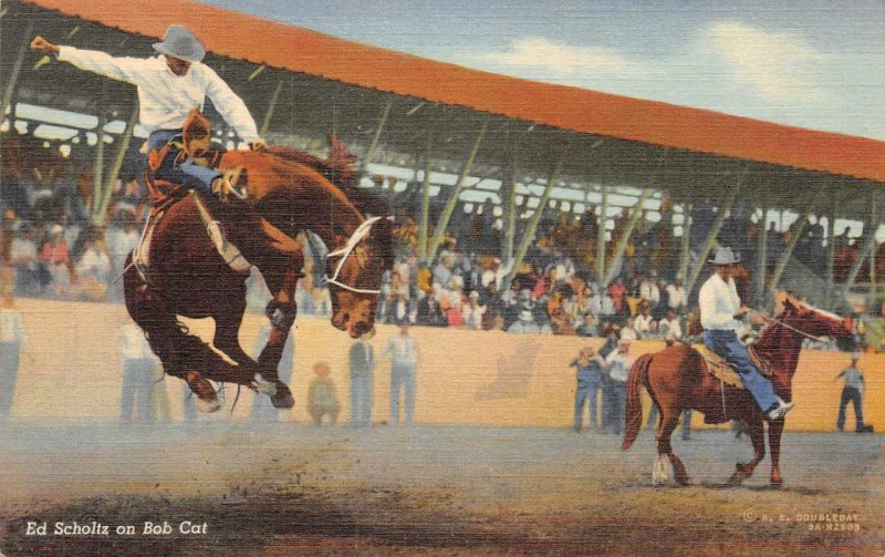 Ed Scholtz on Bob Cat Rodeo Cowboys Horses c1940s Vintage Postcard