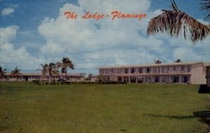 Flamingo Lodge - Everglades National Park, Florida FL