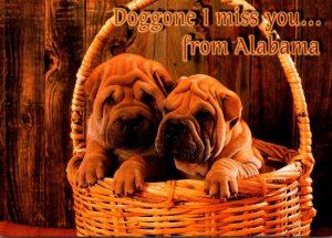 Alabama Doggone I Miss You Dogs In A Basket