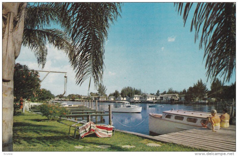 Yacht Basin at Indian Rocks Beach, Palm Tree, Dwarf Poinciana, Oleander,Fort ...