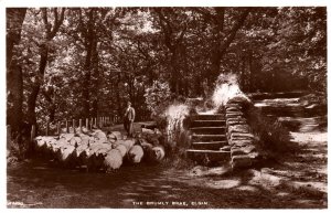 VINTAGE POSTCARD SHEEP FARMER AT THE BRUMLY BRAE ELGIN SCOTLAND RPPC 1930's