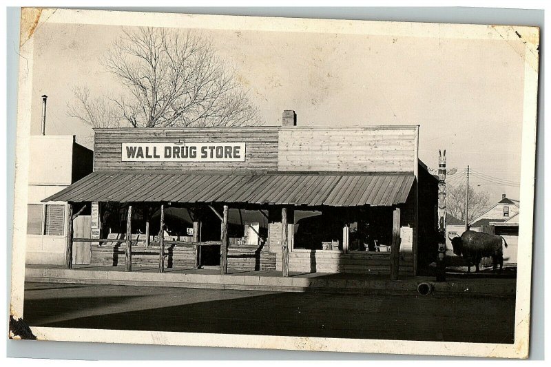 1930-50 Wall Drug Store Postcard Dakota South Vtg Sd Ted Rppc Buffalo Taxidermy