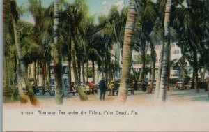 1900s Afternoon Tea Under the Palms Palm Beach Florida Rotograph Postcard