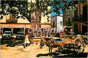 Postcard Modern Tossa de Mar Costa Brava Place Tipique Tossa Donkey Donkey