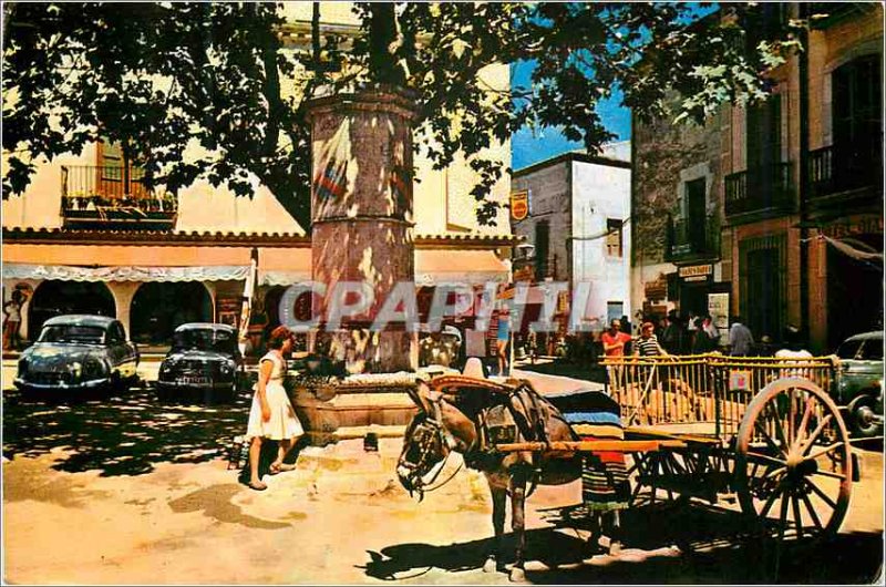 Postcard Modern Tossa de Mar Costa Brava Place Tipique Tossa Donkey Donkey