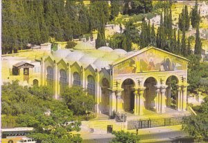 Israel Jerusalem Garden Of Gethsemane