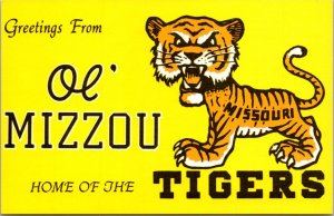 Postcard Ol' Mizzou Tigers Mascot University of Missouri Columbia