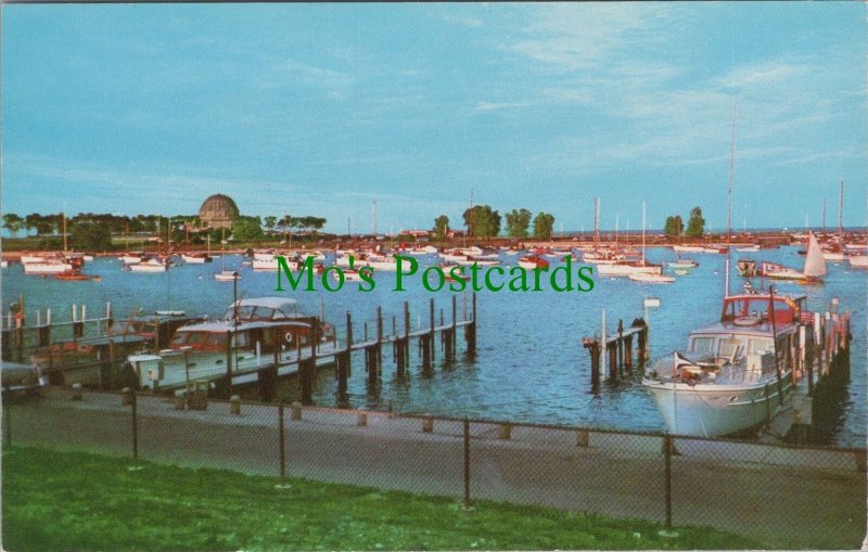America Postcard - Illinois, Chicago's Downtown Yacht Harbor and Lagoon RS32123