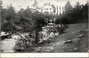 Vtg 1907 The Locks A Quiet Stream Dartmouth Nova Scotia Canada Postcard