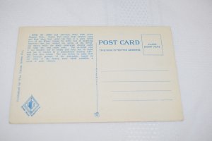 Rock of Ages and American Falls Niagara Falls New York Postcard Union Club News