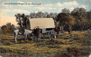 Sheep Herders Wagon Horse Drawn Northwest Postal Used Unknown 