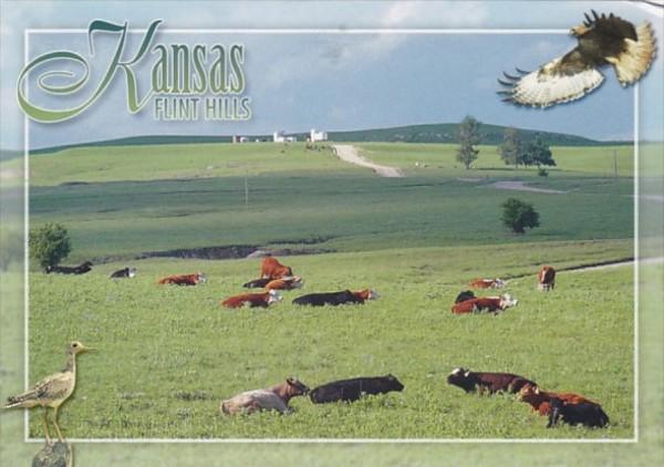 Kansas Flint Hills Dairy Farm Scene