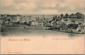 France Souvenir de Delle Vue prise du Coteau Berdolet Vintage Postcard 03.76