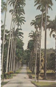 Entrance to Codrington College, ST. JOHN, Barbados, 1940-50s