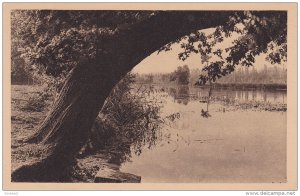 Les Frais Ombrages Des Rives De La Dordogne, La Region Du Limousin, France, 1...