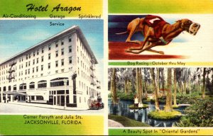 Florida Jacksonville Hotel Aragon With Oriental Gardens and Dog Racing