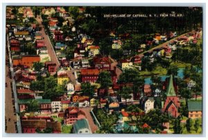 c1950's From The Air View Village of Catskill New York NY Vintage Postcard